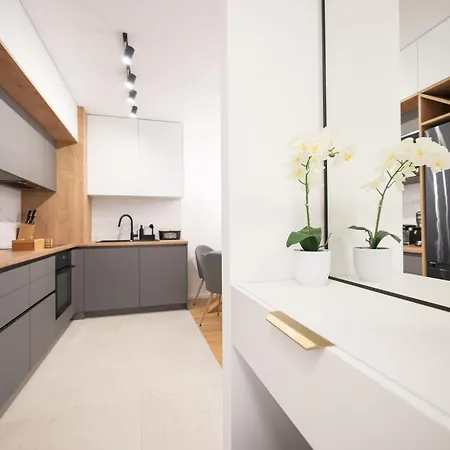 Διαμέρισμα Alpha Level